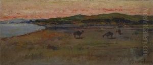 Maremma - S. Rossore