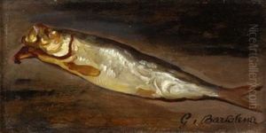 Still Life Of A Fish Still Life Of A Fish