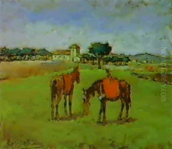 Casolare Con Cavalli - view 1