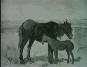 Il Puledro Il Puledro