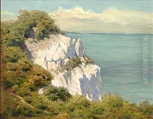 Solskinsdag Ved Moens Klint - view 1