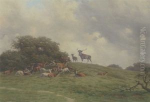 Kronhjort Med Sin Rudel I Dyrehaven by Carl Frederik Bartsch