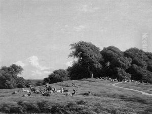 The Deer Park