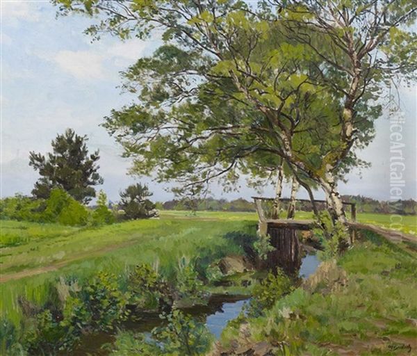 Fruhlingslandschaft Bei Worpswede - view 1