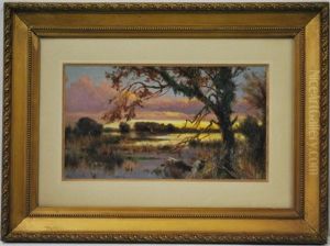 Paesaggio Di Campagna E Alberi Paesaggio Di Campagna E Alberi