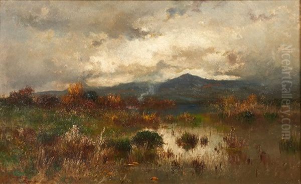 Paysage - view 1