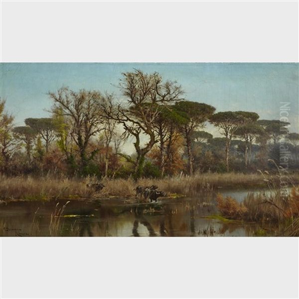 Water Buffalo Crossing A River - view 1