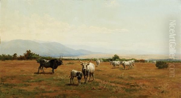 Cattle In Landscape - view 1