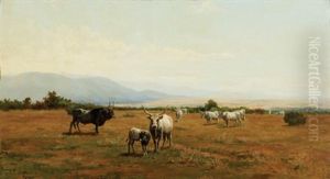 Cattle In Landscape by Pietro Barucci