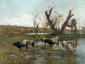 Cattle Grazing In The Campagna by Pietro Barucci