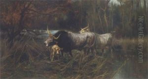 A Buffalo Family In The Roman Campagna