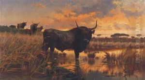 Buffel An Einer Furt
