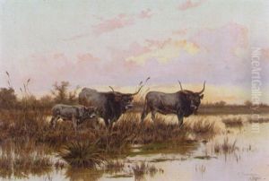 Bulls In A Water Meadow