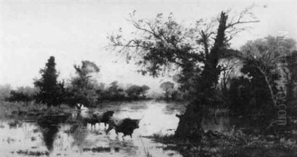 Crossing The Stream - view 1