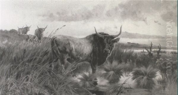 Cattle In The Roman Campagna - view 1