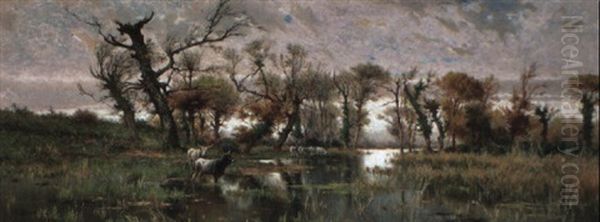 Buffalo In A Wooded River Landscape - view 1