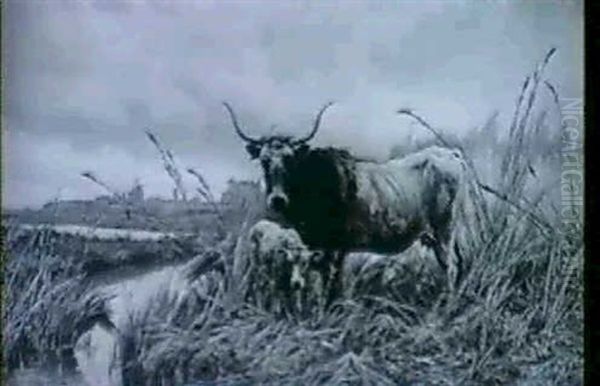 Long Horned Cow With Calf By A River - view 1