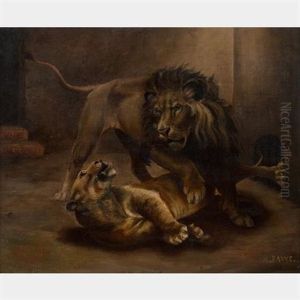 Couple De Lions Enlaces