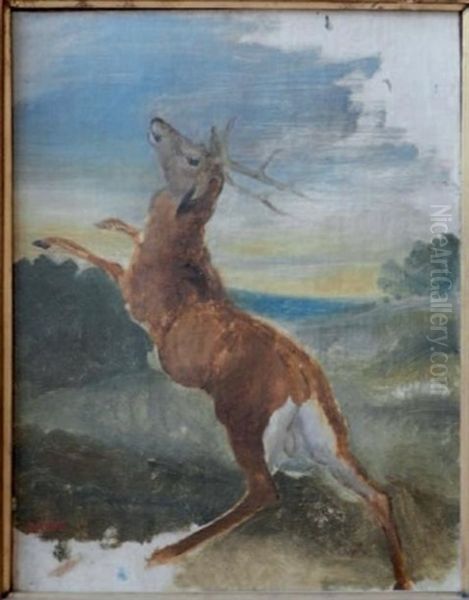 Etude De Cerf Dresse (study) - view 1