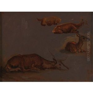 Studies Of Deer by Antoine-louis Barye
