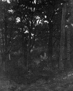 Foret De Fontainebleau Foret De Fontainebleau