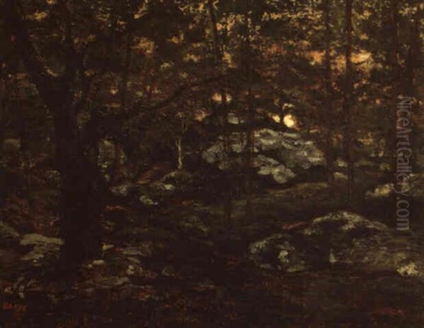 Sous Bois - view 1