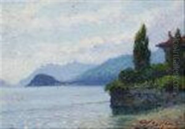 Punta Di Bellagio (menaggio) - view 1
