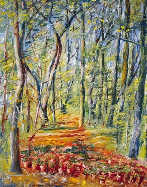 Forest Detail - view 1