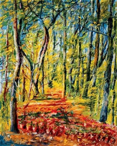 Erdei Ut (forest Path) - view 1