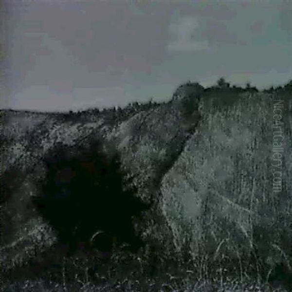 Weinberge - view 1