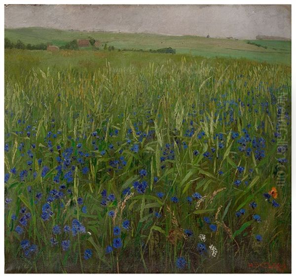 Kornblumen - view 1