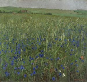 Feld Mit Kornblumen