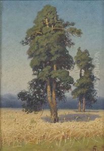 Sommerliche Feldlandschaft Mit Baumen