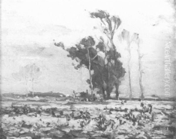 Midland Moors, S.i. - view 1