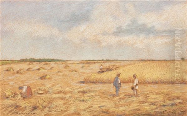 Harvesting - view 1