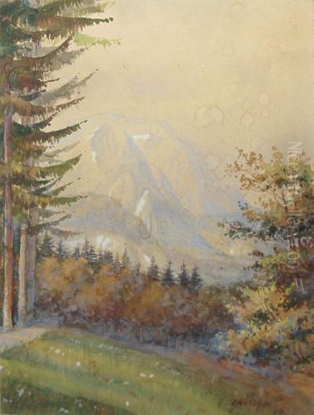 Peisaj Montan - view 1