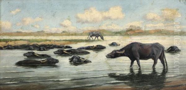 Buffalos - view 1