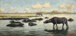 Buffalos by Hans Aesher