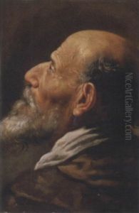 Testa Di Vecchio by Marcantonio Bassetti