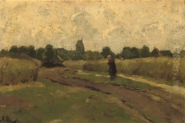 Landschap Bij Hellendoorn - A Stroll In The Fields - view 1
