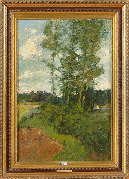 Paysage - view 1