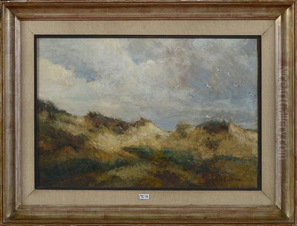 Dunes - view 1