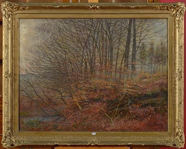 Coin Du Rouge-cloitre En Automne - view 1