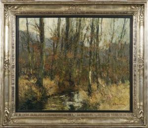 La Source De L'empereur En Foret De Soignes