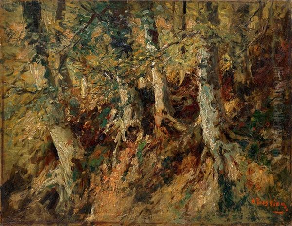 Forest - view 1