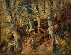 Forest Forest