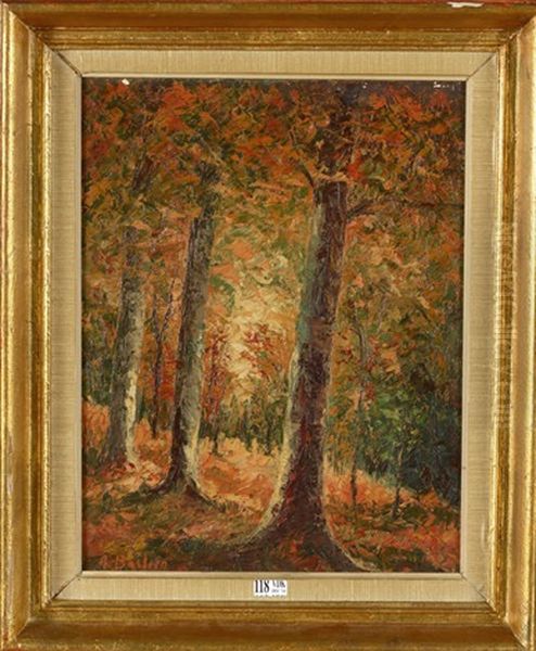Sous-bois En Automne - view 1