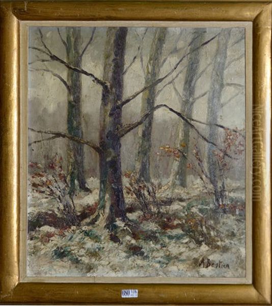 Sous-bois Sous La Neige - view 1
