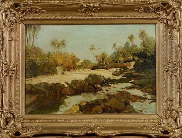 Coin D'une Oasis - view 1