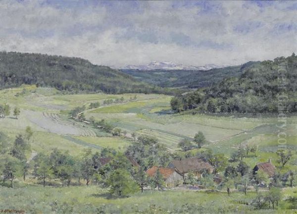 Landscape Near Neuenburg - view 1